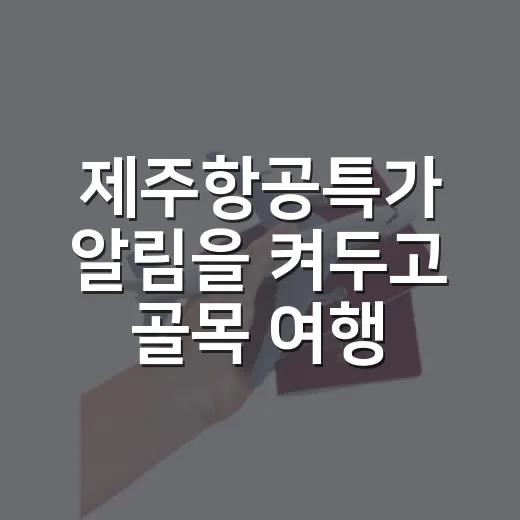 제주항공특가 알림을 켜두고 골목 여행을 다녀와봤더니 - 요약