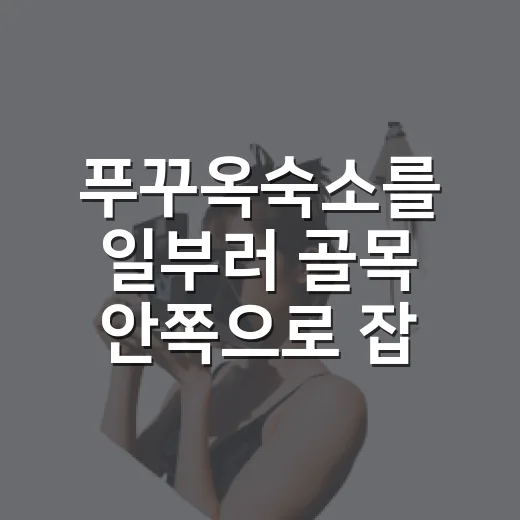 푸꾸옥숙소를 일부러 골목 안쪽으로 잡아봤더니 보인 것들 - 요약