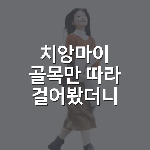 치앙마이 골목만 따라 걸어봤더니 여행이 조용해졌다 - 요약