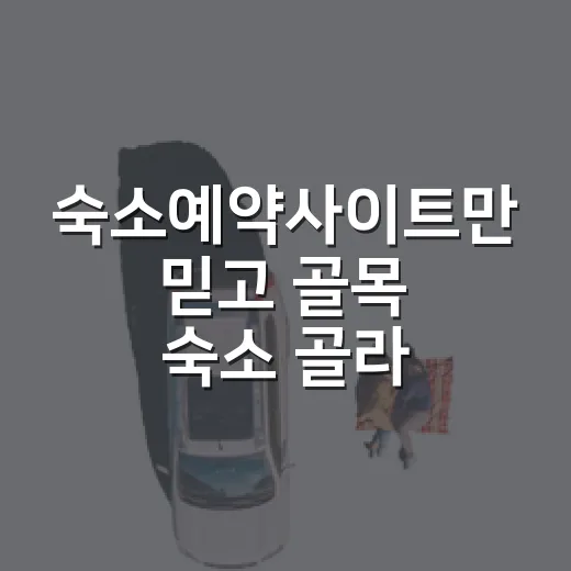 숙소예약사이트만 믿고 골목 숙소 골라봤더니 보였던 것들 - 요약