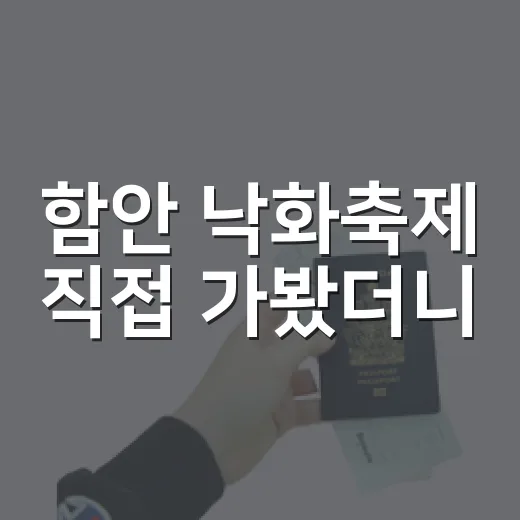 함안 낙화축제 직접 가봤더니, 불꽃보다 조용한 밤이 오래 남았다 - 요약