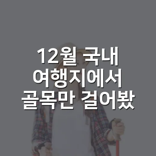 12월 국내 여행지에서 골목만 걸어봤더니 - 요약