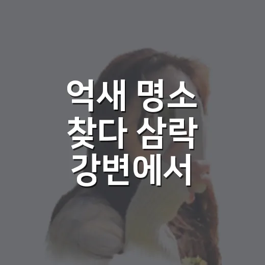 억새 명소 찾다 삼락 강변에서 발걸음이 느려졌다 - 요약