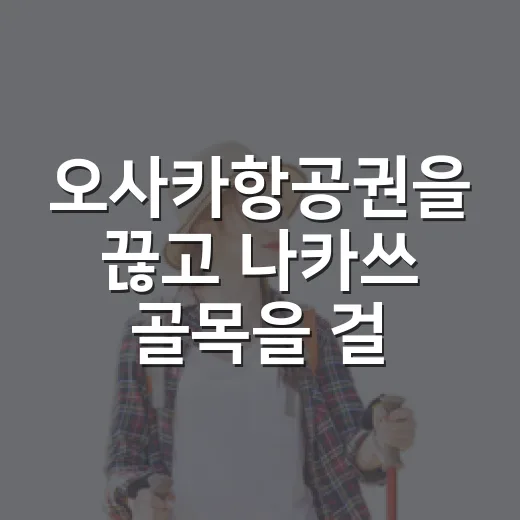오사카항공권을 끊고 나카쓰 골목을 걸어봤다 - 요약
