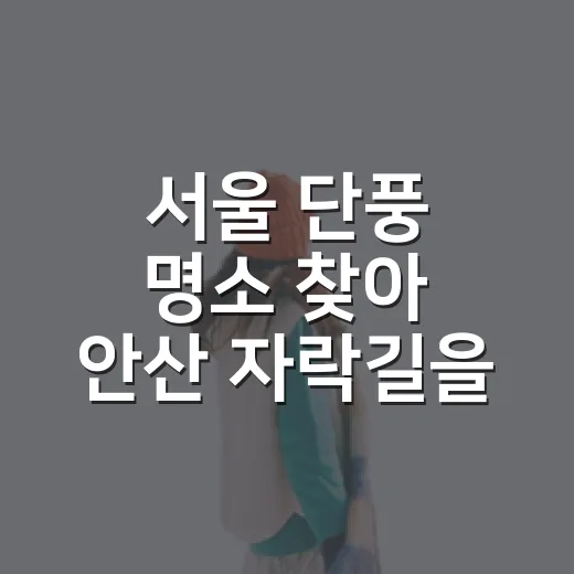 서울 단풍 명소 찾아 안산 자락길을 걸어봤더니 - 요약