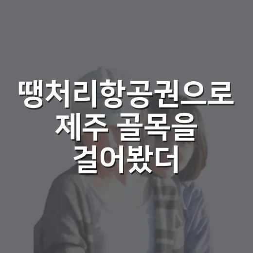 땡처리항공권으로 제주 골목을 걸어봤더니 - 요약