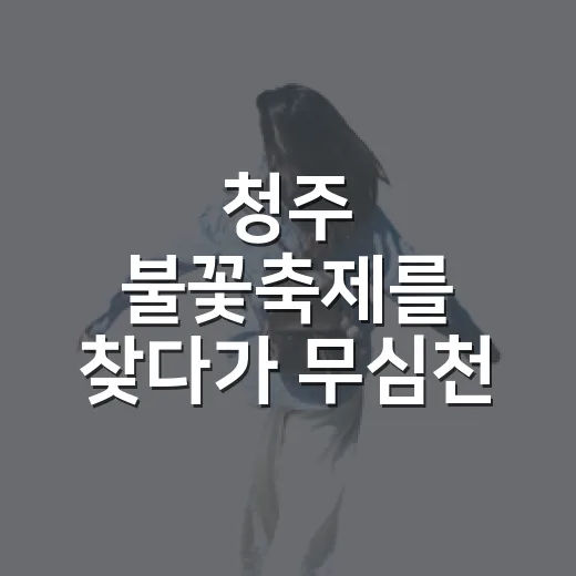 청주 불꽃축제를 찾다가 무심천 저녁을 알게 됐다 - 요약
