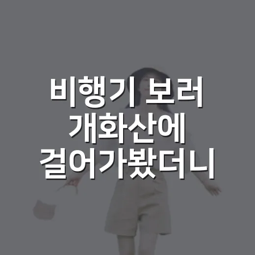 비행기 보러 개화산에 걸어가봤더니 - 요약