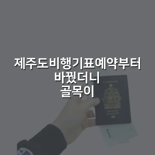 제주도비행기표예약부터 바꿨더니 골목이 보였다 - 요약