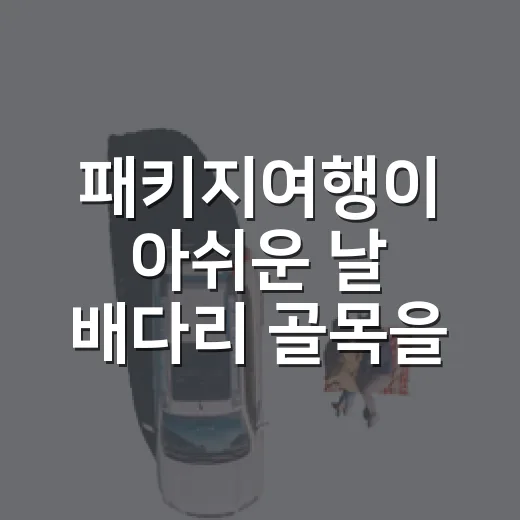 패키지여행이 아쉬운 날 배다리 골목을 걸었다 - 요약