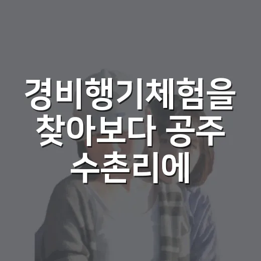 경비행기체험을 찾아보다 공주 수촌리에 눈이 갔다 - 요약