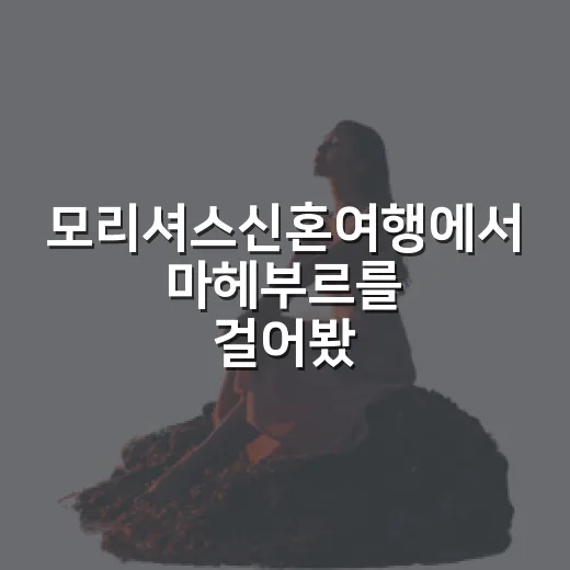 모리셔스신혼여행에서 마헤부르를 걸어봤더니 - 요약