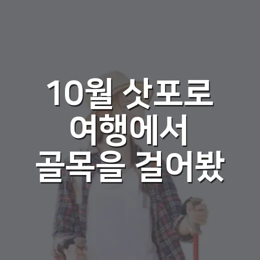 10월 삿포로 여행에서 골목을 걸어봤더니 - 요약