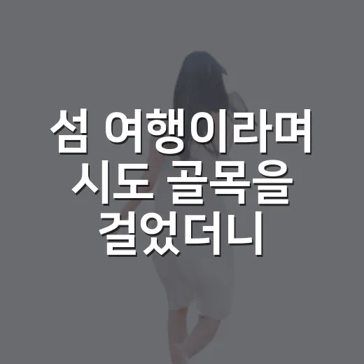 섬 여행이라며 시도 골목을 걸었더니 - 요약