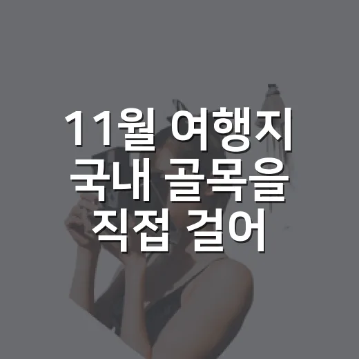 11월 여행지 국내 골목을 직접 걸어보니 - 요약