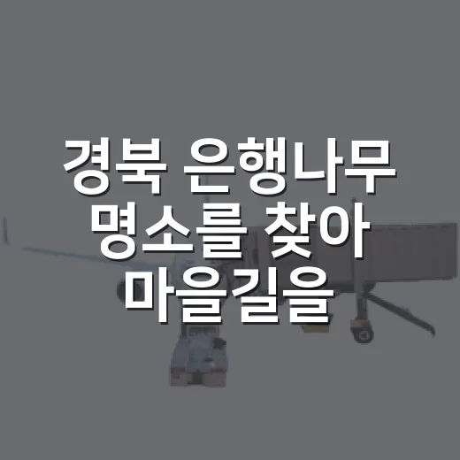 경북 은행나무 명소를 찾아 마을길을 걸어봤다 - 요약