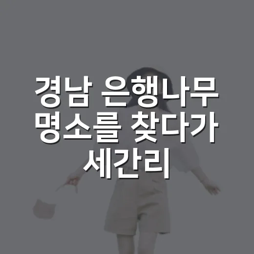 경남 은행나무 명소를 찾다가 세간리 한 그루에 마음이 갔다 - 요약