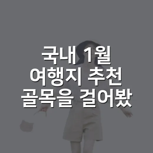 국내 1월 여행지 추천 골목을 걸어봤더니 - 요약
