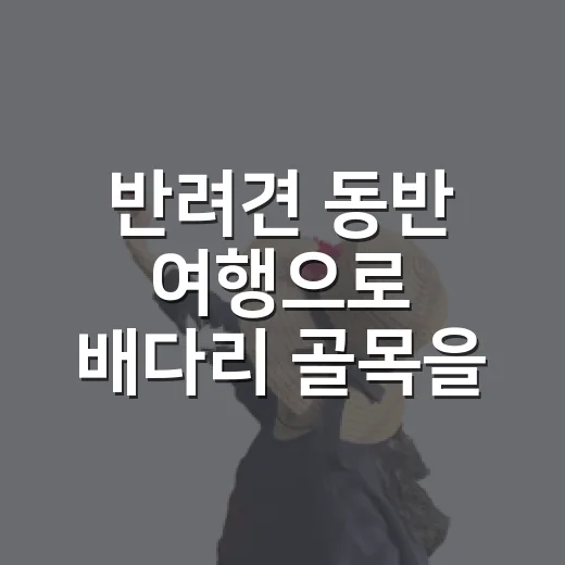 반려견 동반 여행으로 배다리 골목을 걸어봤더니 - 요약