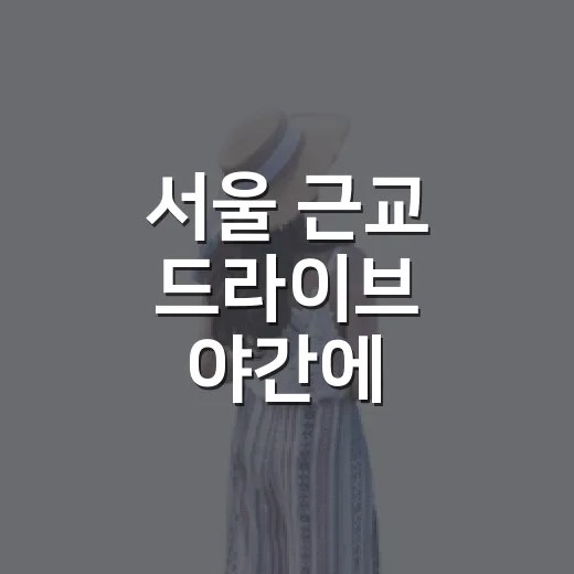 서울 근교 드라이브 야간에 행주동을 걸어봤더니 - 요약