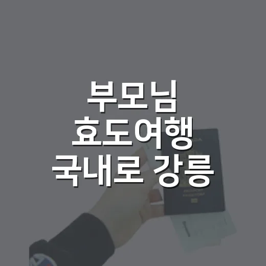 부모님 효도여행 국내로 강릉 골목을 걸어보니 - 요약