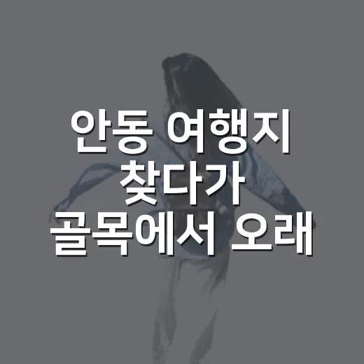 안동 여행지 찾다가 골목에서 오래 머물렀다 - 요약