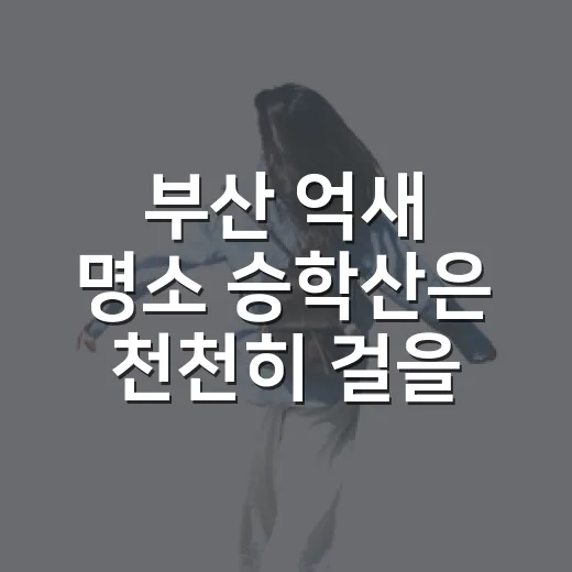 부산 억새 명소 승학산은 천천히 걸을수록 좋다 - 요약