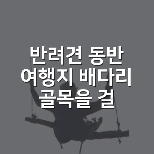 반려견 동반 여행지 배다리 골목을 걸어봤더니 - 요약