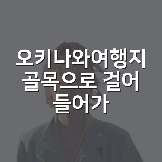 오키나와여행지 골목으로 걸어 들어가 봤더니 - 요약