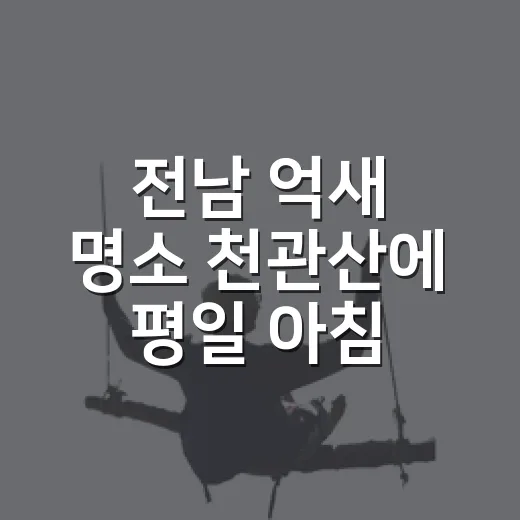 전남 억새 명소 천관산에 평일 아침 올라봤더니 - 요약