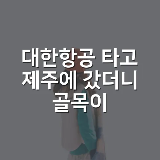 대한항공 타고 제주에 갔더니 골목이 더 좋았다 - 요약