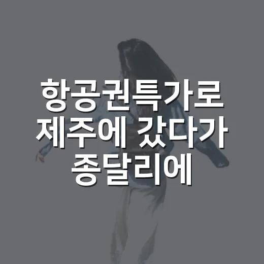 항공권특가로 제주에 갔다가 종달리에 오래 머물렀다 - 요약