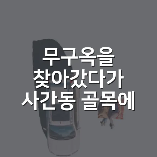 무구옥을 찾아갔다가 사간동 골목에 더 오래 머물렀다 - 요약