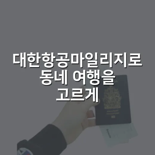 대한항공마일리지로 동네 여행을 고르게 된 이유 - 요약