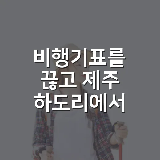 비행기표를 끊고 제주 하도리에서 천천히 걸었다 - 요약
