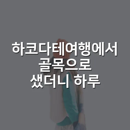 하코다테여행에서 골목으로 샜더니 하루가 길어졌다 - 요약