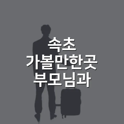 속초 가볼만한곳 부모님과 천천히 걸어봤더니 - 요약