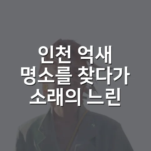 인천 억새 명소를 찾다가 소래의 느린 길이 남았다 - 요약