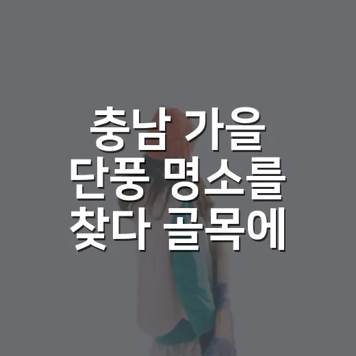 충남 가을 단풍 명소를 찾다 골목에 마음이 갔다 - 요약