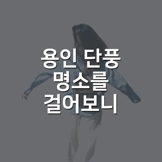 용인 단풍 명소를 걸어보니 조용한 길이 좋았다 - 요약