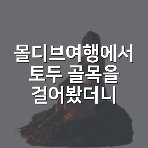 몰디브여행에서 토두 골목을 걸어봤더니 - 요약