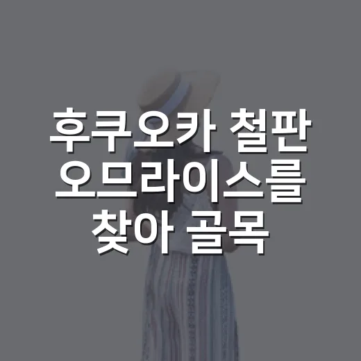 후쿠오카 철판 오므라이스를 찾아 골목으로 들어갔다 - 요약
