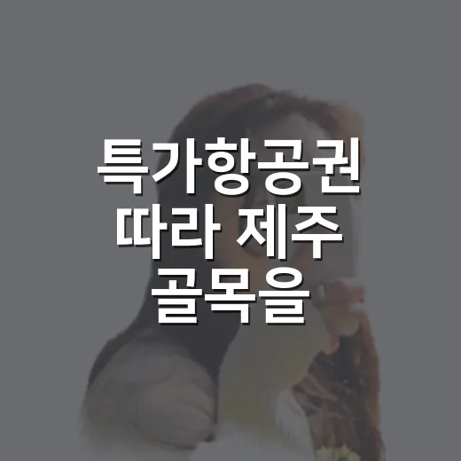 특가항공권 따라 제주 골목을 걸어봤더니 - 요약