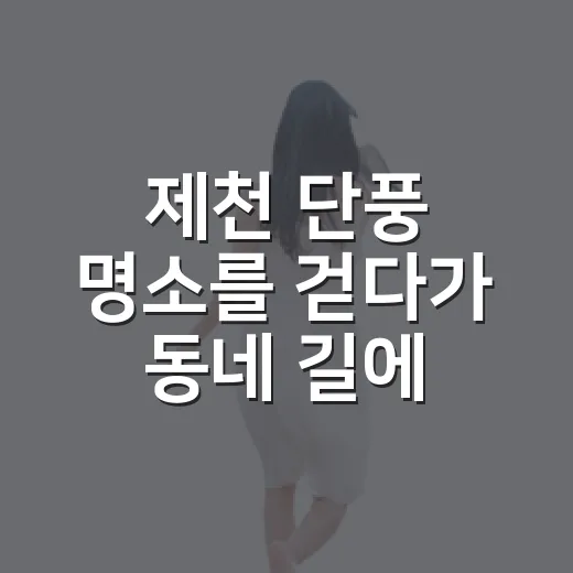 제천 단풍 명소를 걷다가 동네 길에 오래 머물렀다 - 요약