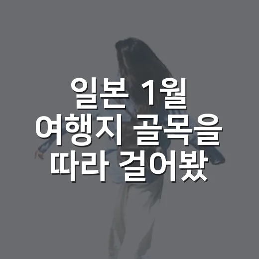 일본 1월 여행지 골목을 따라 걸어봤더니 - 요약