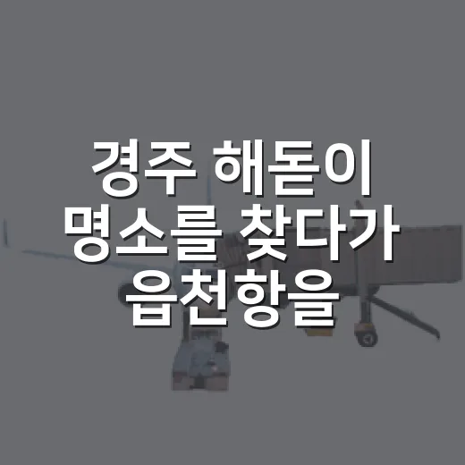 경주 해돋이 명소를 찾다가 읍천항을 걸었다 - 요약