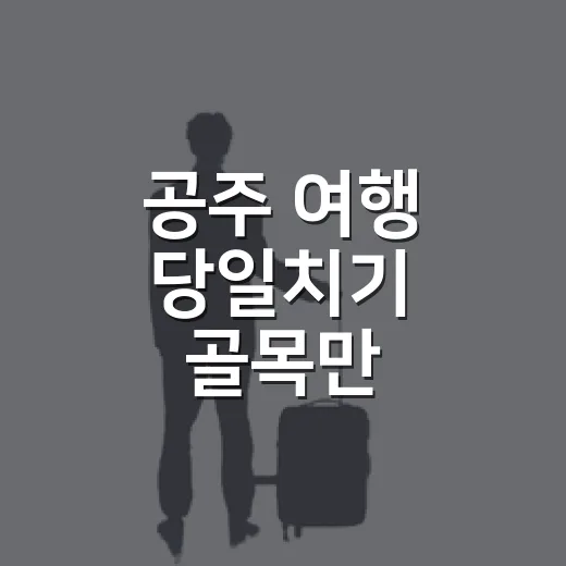 공주 여행 당일치기 골목만 걸어봤더니 - 요약