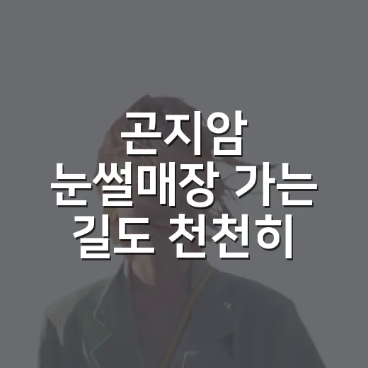 곤지암 눈썰매장 가는 길도 천천히 걷고 싶었다 - 요약