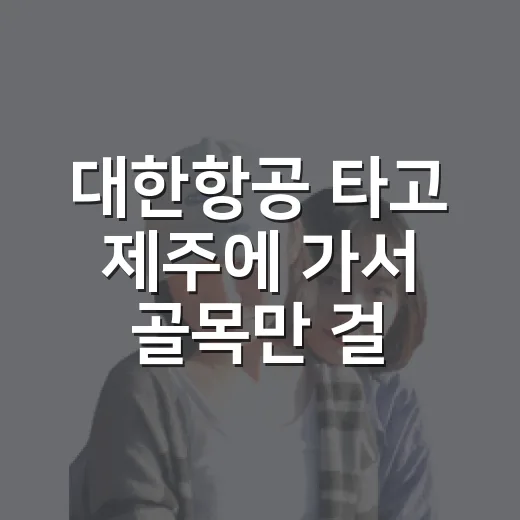 대한항공 타고 제주에 가서 골목만 걸어봤더니 - 요약
