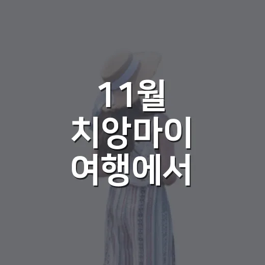 11월 치앙마이 여행에서 골목이 더 오래 남았다 - 요약